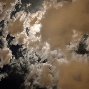 Meet your Posher, Shelisha